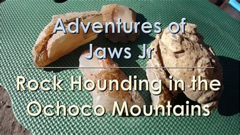 After a few times there, I started exploring other areas, from the North East area of the reservoir out to the Ochoco mountains directly East, North, . . Rockhounding ochoco
